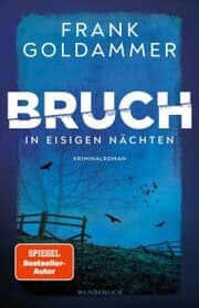 Cover von Bruch: In eisigen Nächten