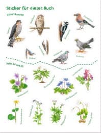 Cover von Abenteuer-Buch Wald