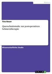 Cover von Querschnittstudie zur postoperativen Schmerztherapie