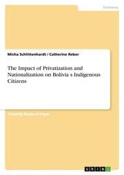 Cover von The Impact of Privatization and Nationalization on Bolivias Indigenous Citizens