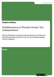 Cover von Erzählinstanzen in Theodor Storms 'Der Schimmelreiter'