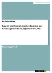 Cover von Jugend und Gewalt.Einflussfaktoren auf Grundlage der Shell Jugendstudie 2010