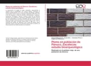 Cover von Plomo en población de Pánuco, Zacatecas: estudio bioarqueológico