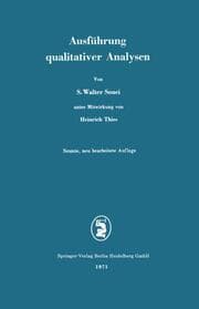Cover von Ausführung qualitativer Analysen