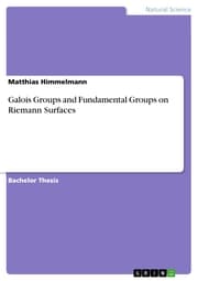 Cover von Galois Groups and Fundamental Groups on Riemann Surfaces