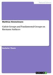 Cover von Galois Groups and Fundamental Groups on Riemann Surfaces