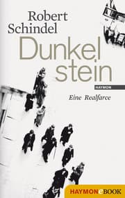 Cover von Dunkelstein