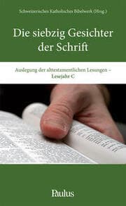 Cover von Die siebzig Gesichter der Schrift