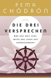 Cover von Die drei Versprechen. Was uns Halt gibt, wenn das Leben uns herausfordert