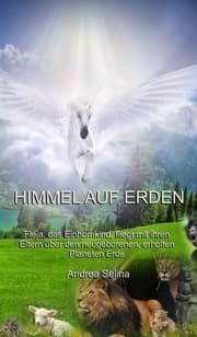 Cover von Himmel auf Erden