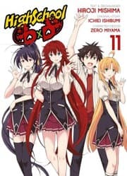 Cover von HighSchool DxD
