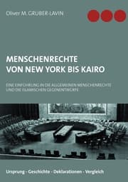 Cover von Menschenrechte von New York bis Kairo