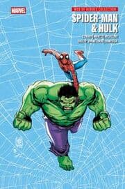 Cover von Spider-Man & Hulk