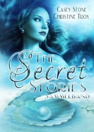 Cover von The Secret Stories - Sammelband
