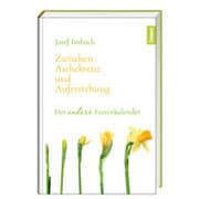 Cover von Zwischen Aschekreuz und Auferstehung