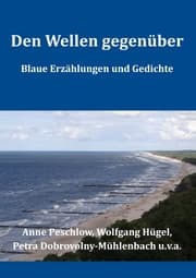Cover von Den Wellen gegenüber