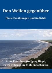 Cover von Den Wellen gegenüber