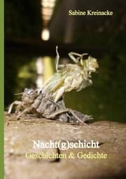 Cover von Nacht(g)schicht
