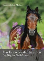 Cover von Das Erwachen der Intuition