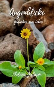 Cover von Augenblicke