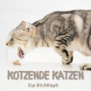 Cover von Kotzende Katzen