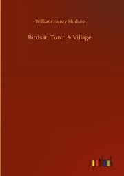 Cover von Birds in Town & Village