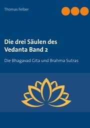 Cover von Die drei Säulen des Vedanta Band 2
