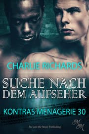 Cover von Suche nach dem Aufseher