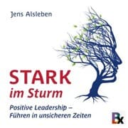 Cover von Stark im Sturm