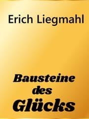 Cover von Bausteine des Glücks