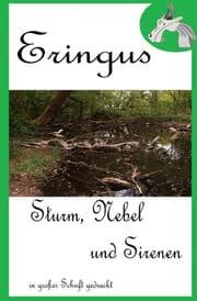 Cover von Eringus - Sturm, Nebel und Sirenen