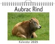 Cover von Aubrac Rind