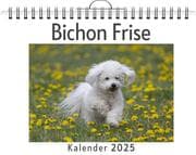 Cover von Bichon Frise