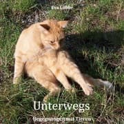 Cover von Unterwegs