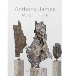 Cover von Anthony James - Morphic Fields