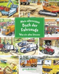 Cover von Mein allererstes Buch der Fahrzeuge