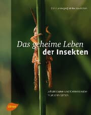 Cover von Das geheime Leben der Insekten
