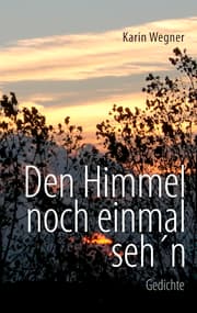 Cover von Den Himmel noch einmal seh'n