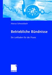 Cover von Betriebliche Bündnisse
