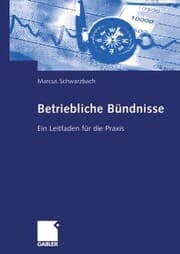Cover von Betriebliche Bündnisse
