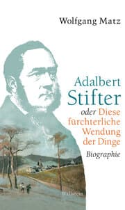 Cover von Adalbert Stifter oder Diese fürchterliche Wendung der Dinge