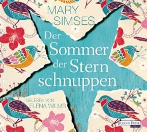 Cover von Der Sommer der Sternschnuppen