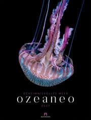 Cover von Ozeaneo 2027 - Geheimnisvolles Meer