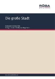 Cover von Die große Stadt