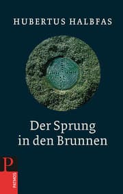 Cover von Der Sprung in den Brunnen