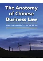 Cover von The Anatomy of Chinese Business Law