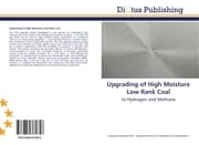 Cover von Upgrading of High Moisture Low Rank Coal