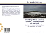Cover von Upgrading of High Moisture Low Rank Coal to Hydrogen and Methane