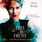 Cover von Fire & Frost 3: Von der Dunkelheit geliebt