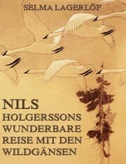 Cover von Nils Holgerssons wunderbare Reise mit den Wildgänsen